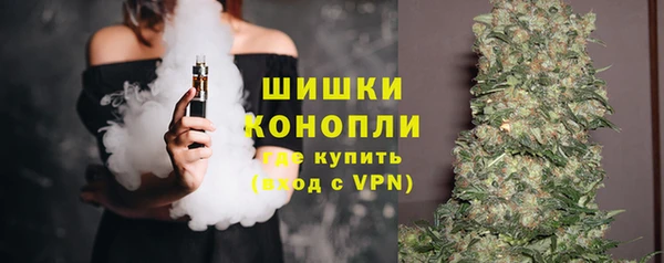 спиды Каменка