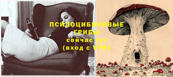 молекула духа Каменск-Шахтинский