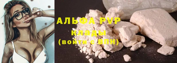 спиды Каменка